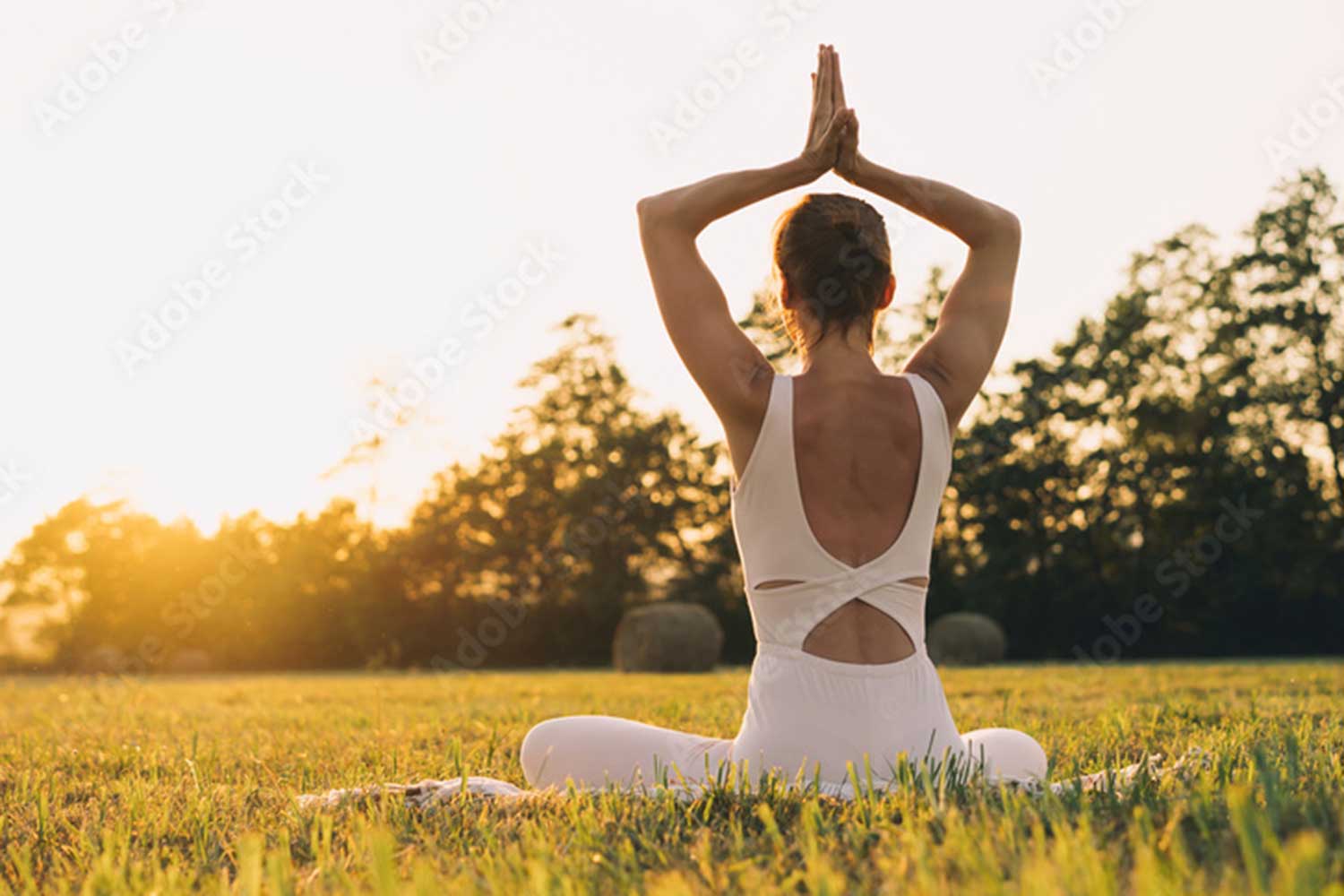 Yoga-Lehrpfad