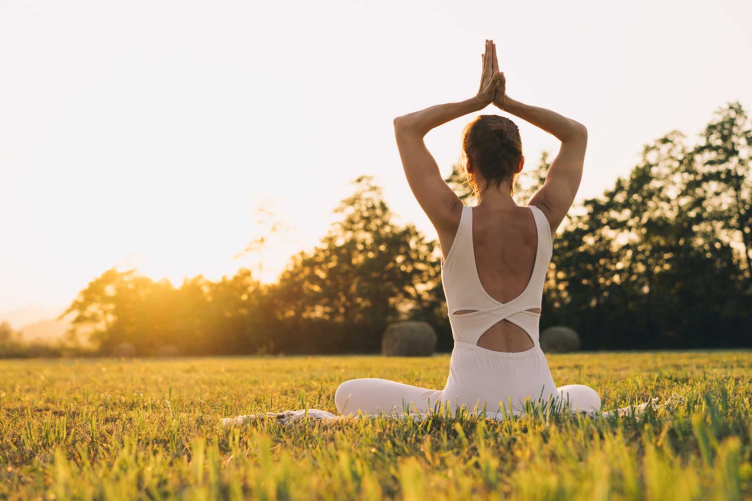 Yoga-Lehrpfad