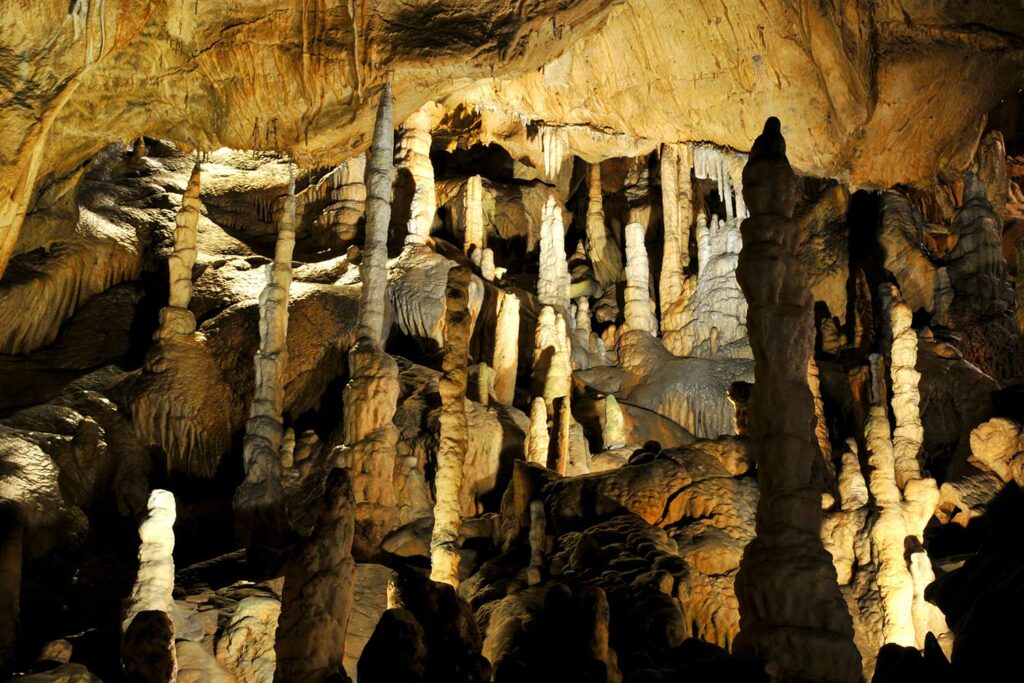 Die Hermannshöhle im Südharz bei Rübeland beeindruckt mit bizarren Formationen.