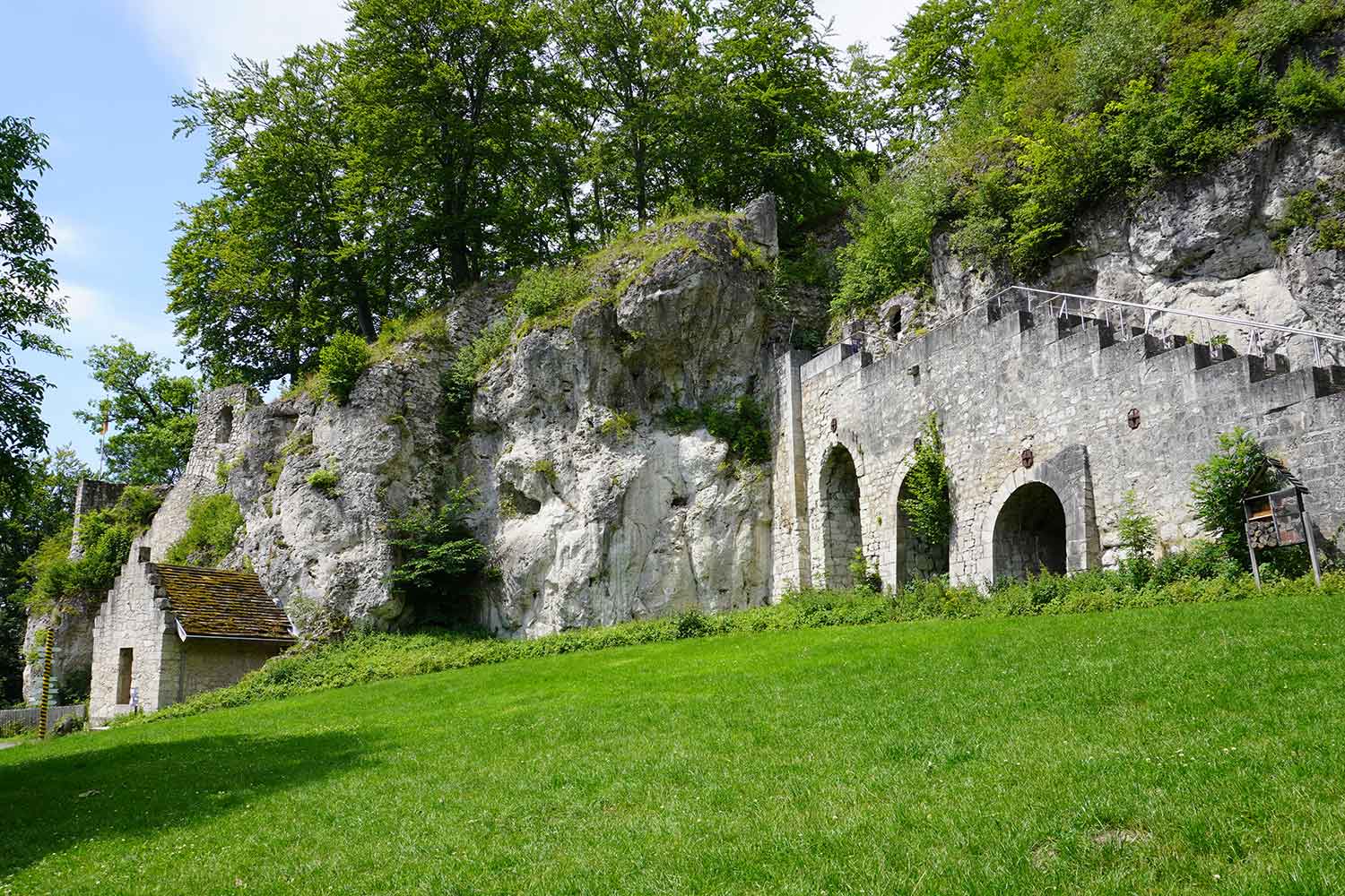 BURGRUINE SCHARZFELS