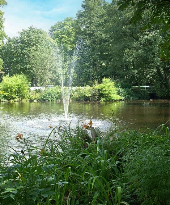 Erlebniswochenende im Kurpark Bad Lauterberg – Musik, Blumen & mehr!