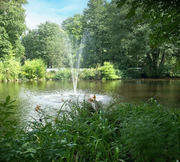Erlebniswochenende im Kurpark Bad Lauterberg – Musik, Blumen & mehr!