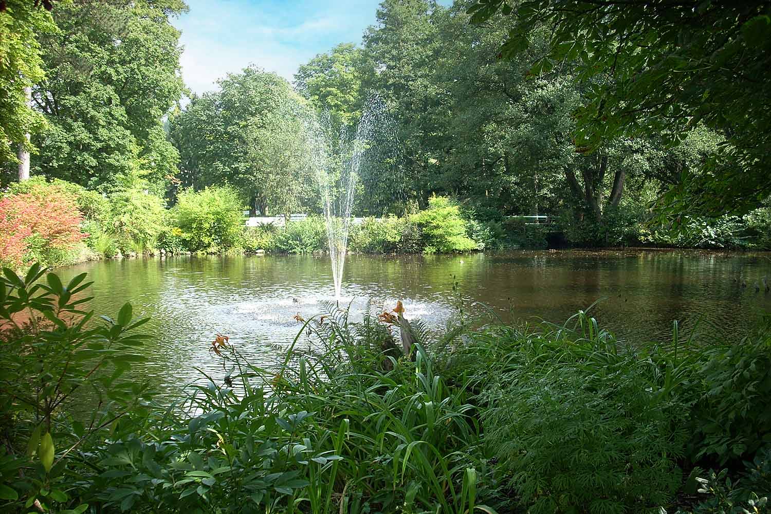 Erlebniswochenende im Kurpark Bad Lauterberg – Musik, Blumen & mehr!